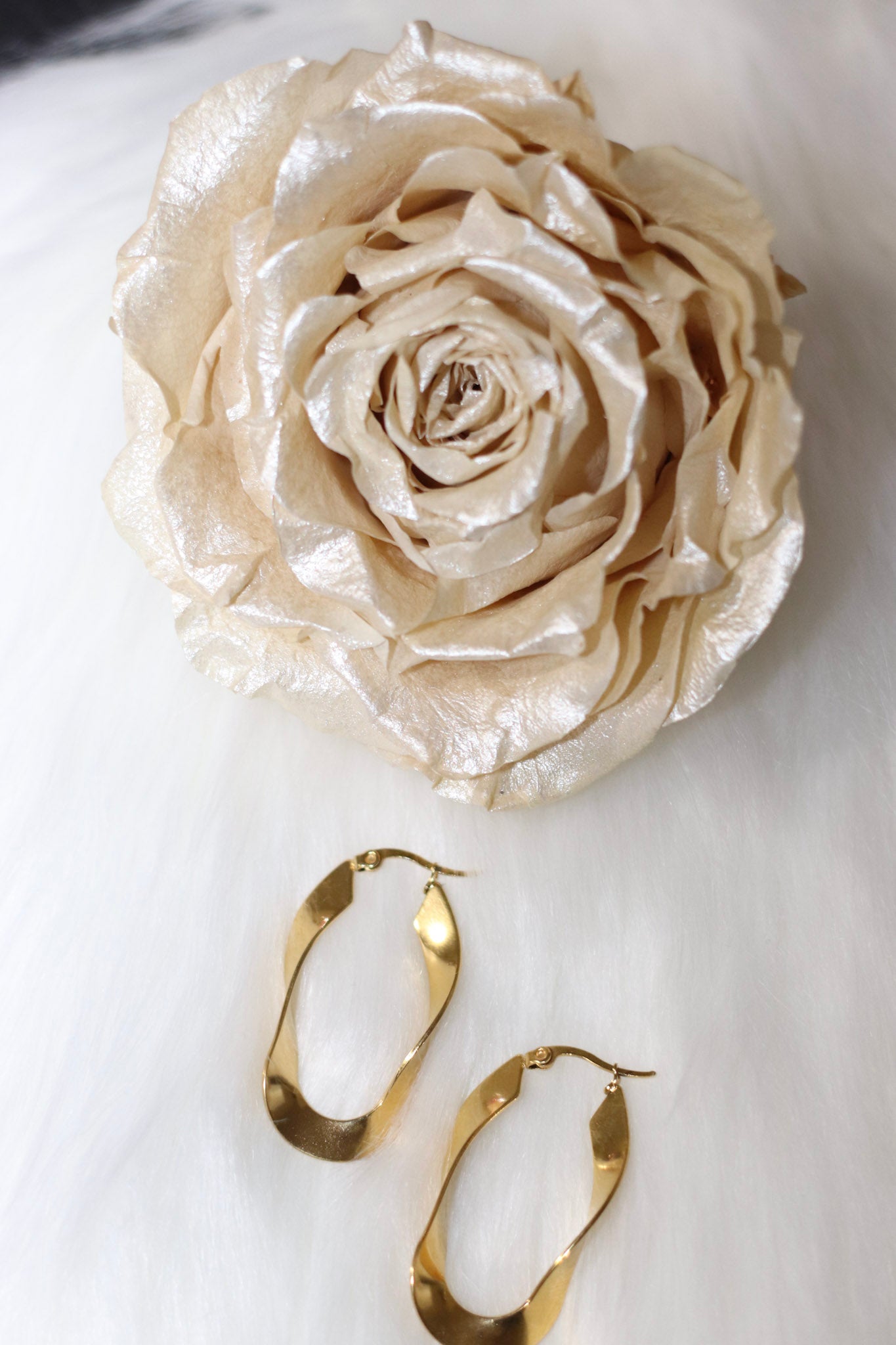 France's 18K Gold Plated Stainless Steel Wavy Hoop Earrings