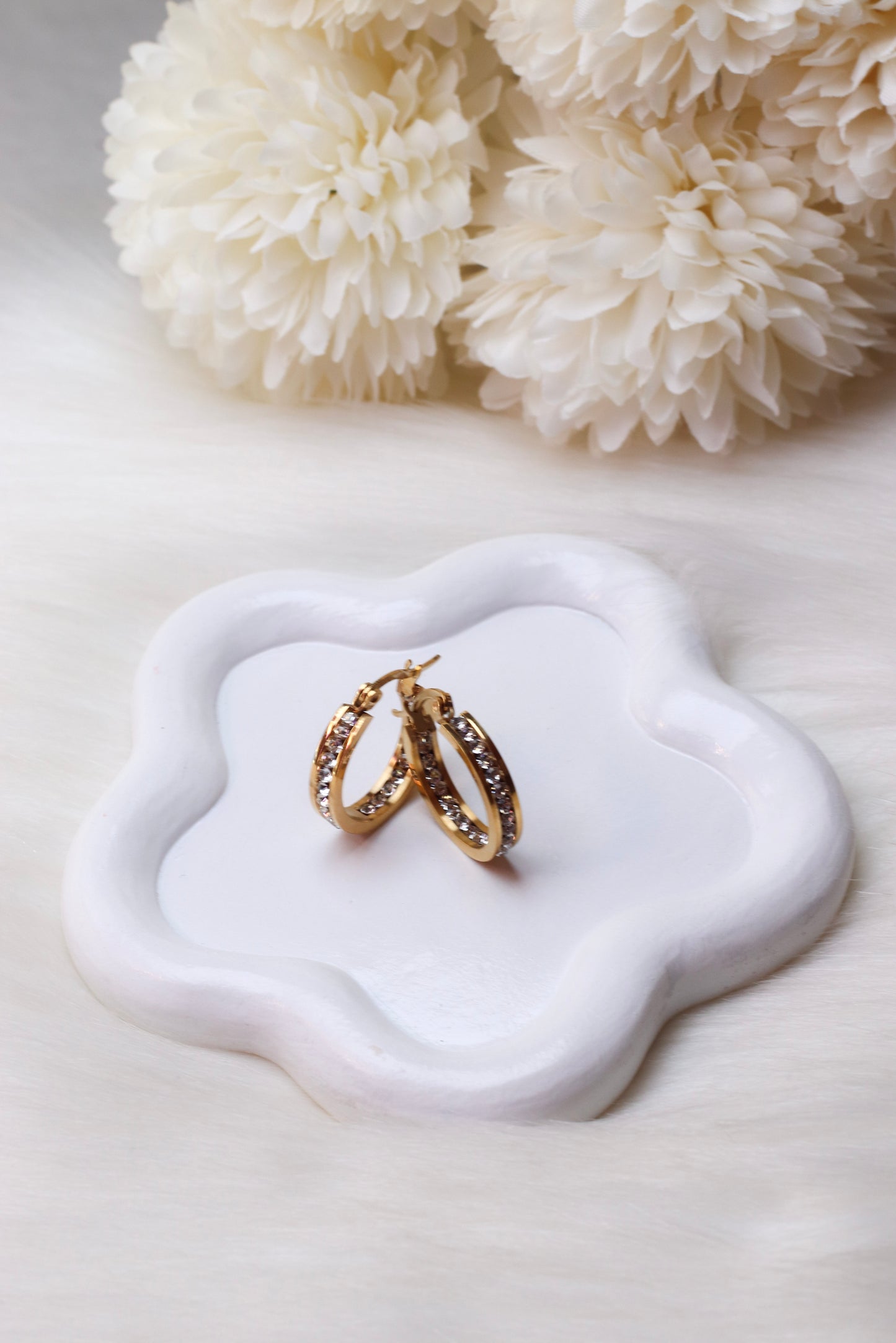 Paola's Stainless Steel Gold Plated 18K Hoops Earrings.