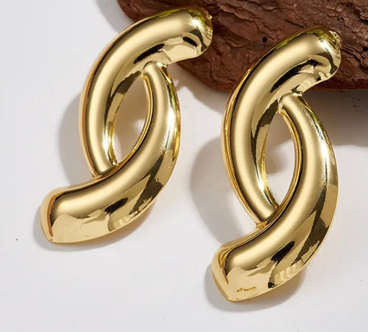 Pure Essence Stainless Steel Earrings