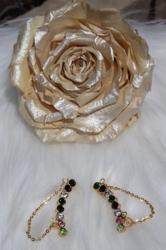 Fashion Climbers Multicolor Earrings.