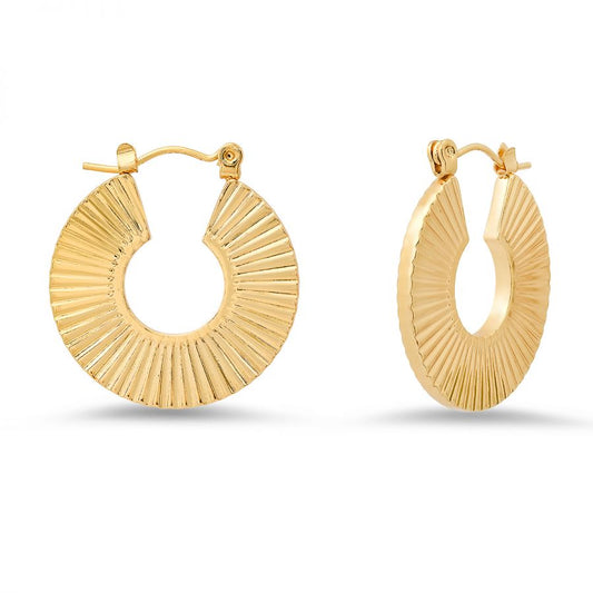Stainless Steel Gold Plated 18k Thick Fossil Hoop Earrings.